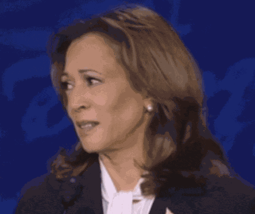 Kamala Harris Wtf Meme
