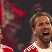 Kane Harry Kane GIF