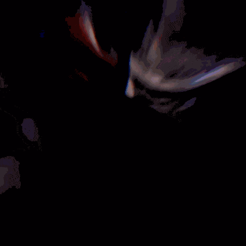 Kaneki Kaneki Ken GIF