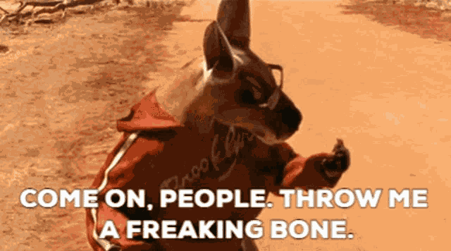 Kangaroo Jack Jackie Legs GIF