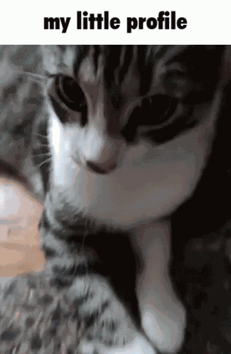 Kaperoo My Little Profile GIF