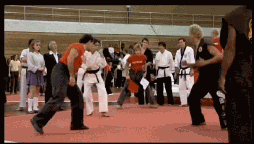 Karate Karate Kid GIF