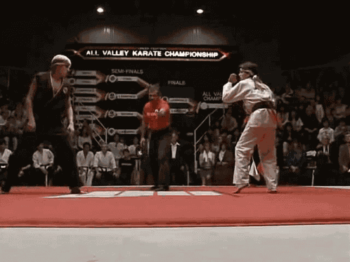 Karate Kid GIF