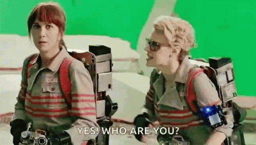 Kate Mckinnon Yes Who Are You GIF