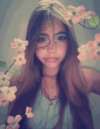 Katie Lacy Arizona Green Tea Meme