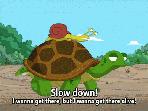 Kay Turtle GIF