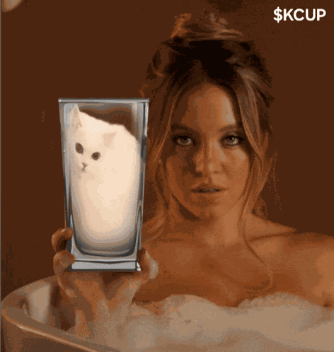 Kcup Kittycup Meme