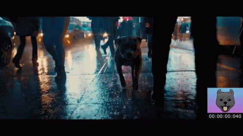 Keanu GIF