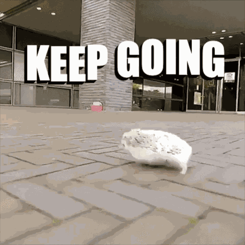 Keep Going Hedgehog GIF