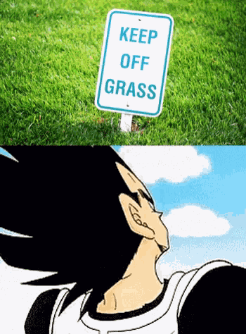 Keep Off Grass Vegeta GIF
