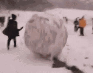 Snow Ball GIFs