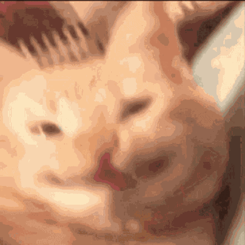 Kenjou Cat GIF