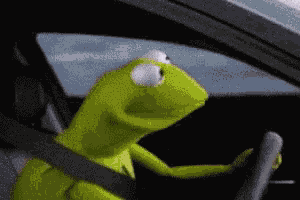 Kermit 50cent GIF