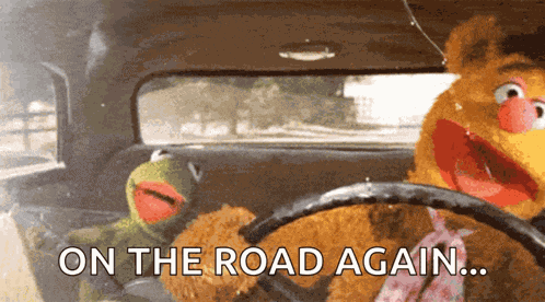 Kermit Driving GIF