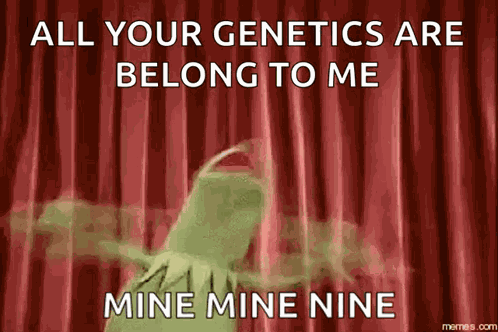 Kermit Freaking Out GIF