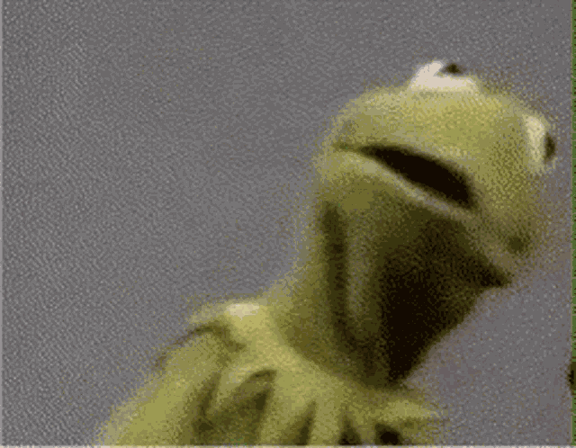 Kermit Frog GIF