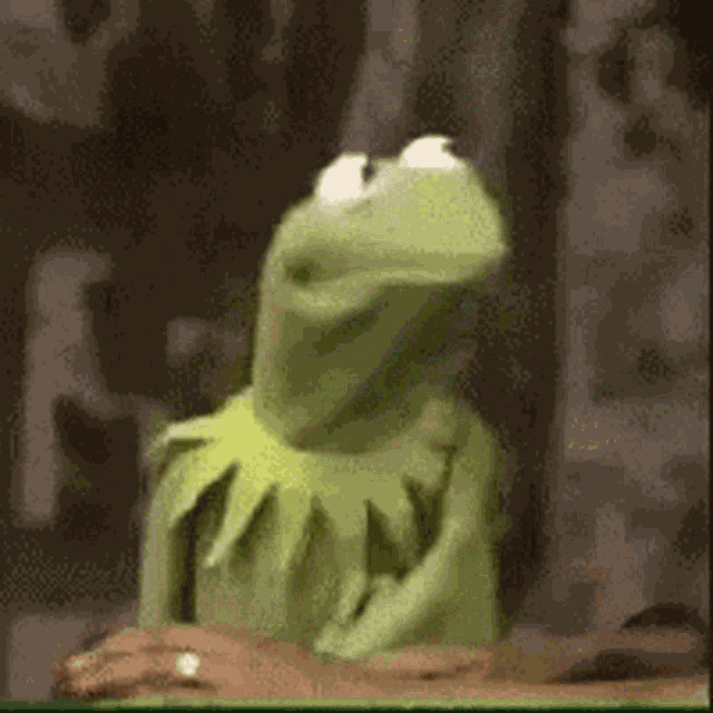 Kermit Hmmp GIF