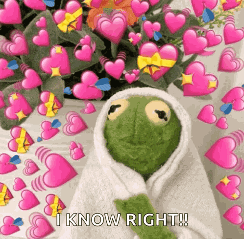 Kermit Kermit Love GIF