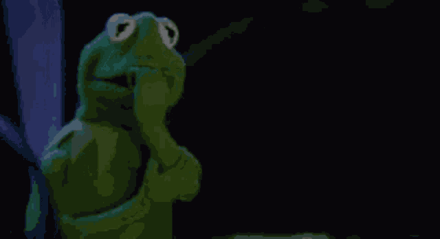 Kermit Kermit The Frog GIF