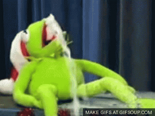 Kermit Learns How To Spit GIF