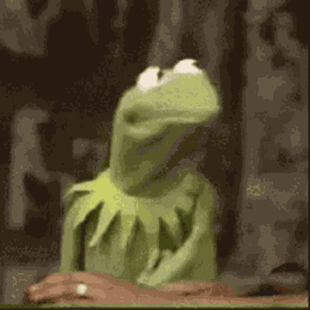 Kermit Mad GIF