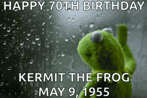 Kermit The Frog May 9 1955 Meme