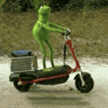 Kermit The Frog Meme