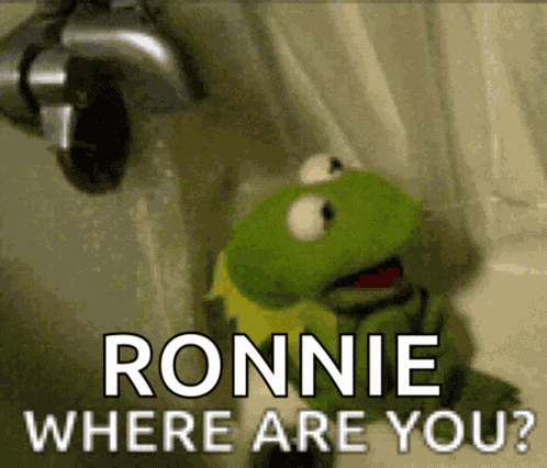 Kermit The Frog Meme