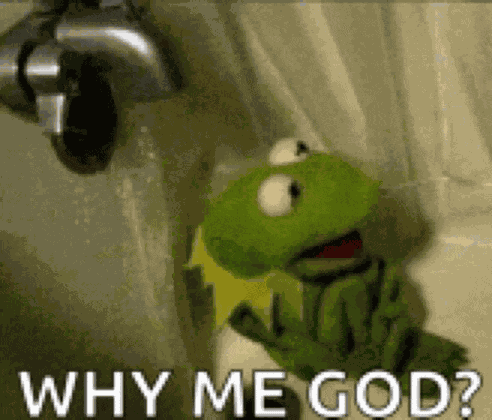 Kermit The Frog Meme