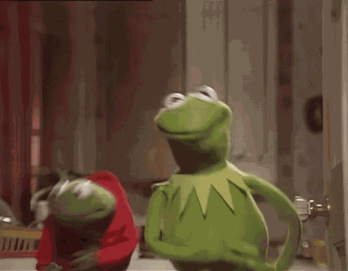 Kermit The Frog Robin GIF
