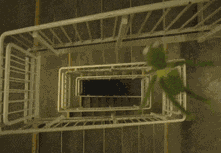Kermit The Frog Stairwell Meme
