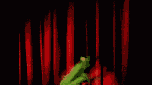Kermit The Frog The Muppets GIF