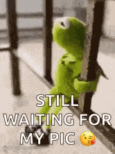 Kermit The Frog Waiting GIF