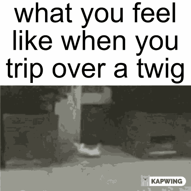 Kermit The Frog Yeet GIF