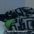Kermitwakeup Kermie GIF