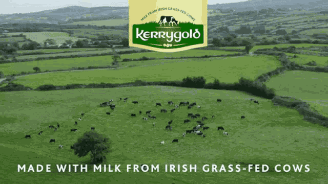 Kerrygold Grass GIF