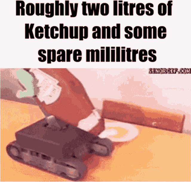 Ketchup Litres GIF