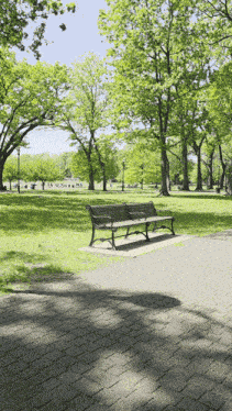 Kevin Dufresne Reading GIF