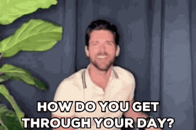 Kevinmcgarry Mcgarries GIF