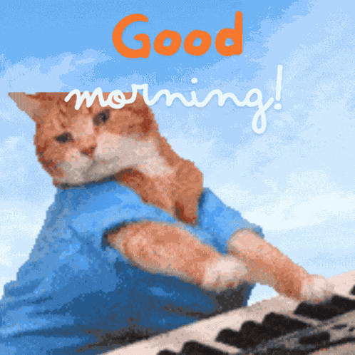 Keycat Keyboard Cat GIF