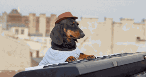 Keydog GIF