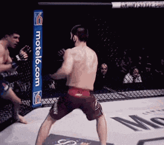 Khabib Tony Khabib Nurmagomedov GIF