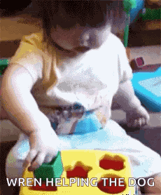 Kid Lol GIF