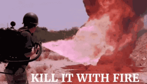 Kill It With Fire Flamethrower GIF