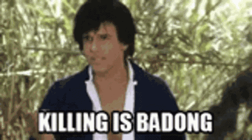 Killing Kung Pow GIF
