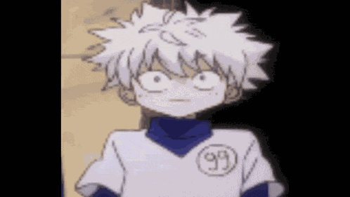 Killua Cat GIF
