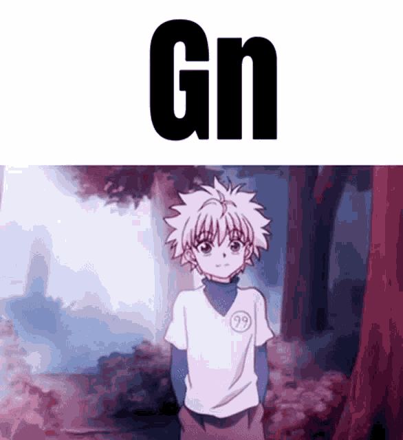 Killua Gn GIF