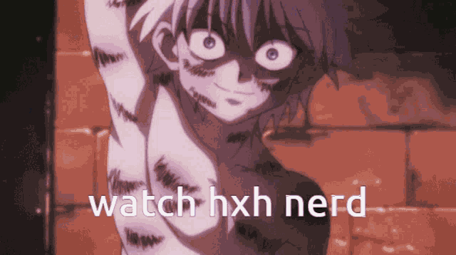 Killua Hxh GIF