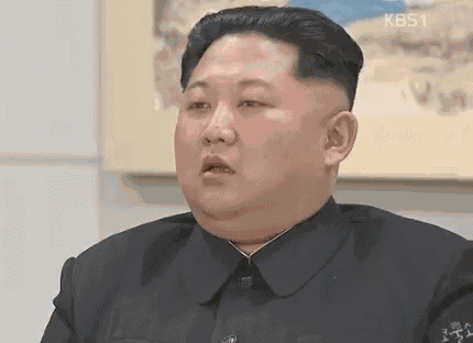 Kim Jong Un 김정은 GIF