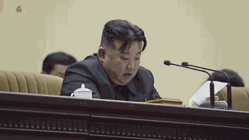 Kim Jong Un Sad GIF